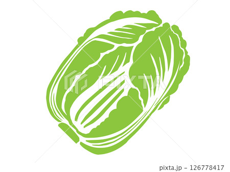 レトロな手書きの野菜イラスト、白菜 126778417