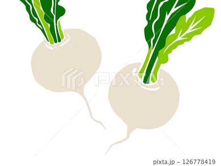 レトロな手書きの野菜イラスト、カブ 126778419