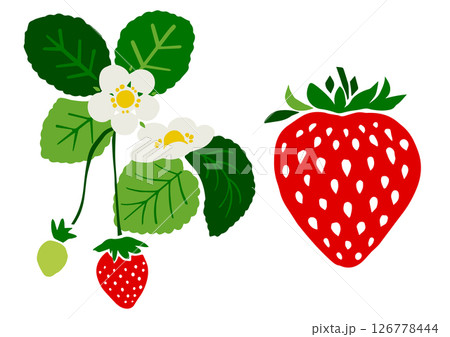 レトロな手書きのいちごイラスト 126778444