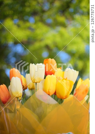 春空の下に咲く色とりどりのチューリップの花束 126778731