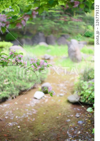 和風庭園の小川とピンクの花が咲く春の景色 和風庭園の小川とピンクの花が咲く春の景色 126779312