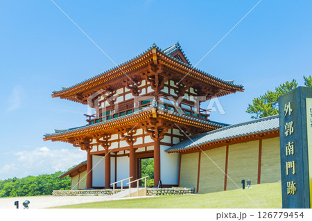 国宝多賀城碑　春の多賀城史跡　多賀城南門 126779454