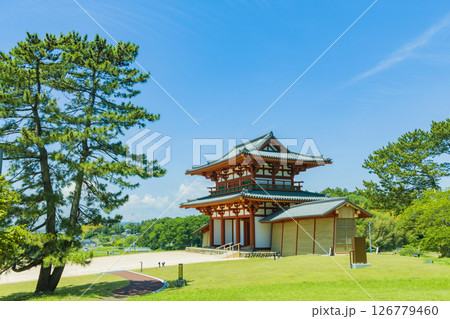 国宝多賀城碑　春の多賀城史跡　多賀城南門 126779460