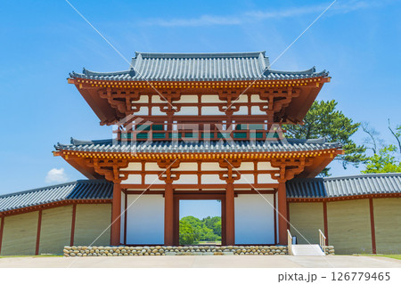 国宝多賀城碑 春の多賀城史跡 多賀城南門 国宝多賀城碑 春の多賀城史跡 多賀城南門 126779465