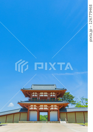 国宝多賀城碑　春の多賀城史跡　多賀城南門 126779468