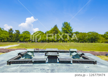 国宝多賀城碑　春の多賀城史跡　多賀城南門 126779474