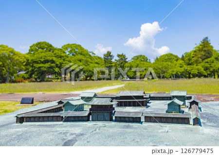 国宝多賀城碑　春の多賀城史跡　多賀城南門 126779475