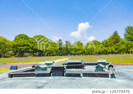 国宝多賀城碑　春の多賀城史跡　多賀城南門 126779476