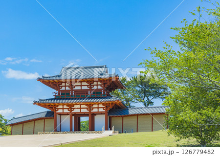 国宝多賀城碑　春の多賀城史跡　多賀城南門 126779482