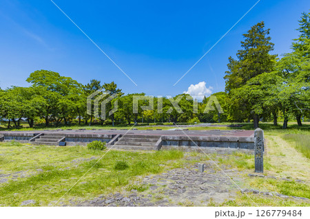 国宝多賀城碑　春の多賀城史跡　多賀城南門 126779484
