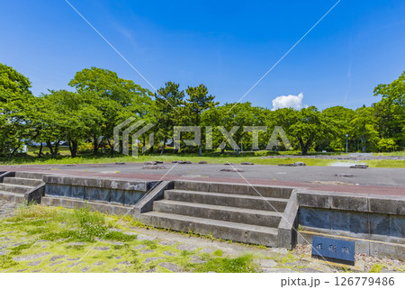 国宝多賀城碑　春の多賀城史跡　多賀城南門 126779486