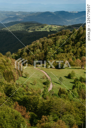Mountain Scenery with Rural Road in Povlen Mountains 126779697