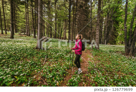 Woman Walking in Flowering Wild Garlic Forest Woman Walking in Flowering Wild Garlic Forest 126779699