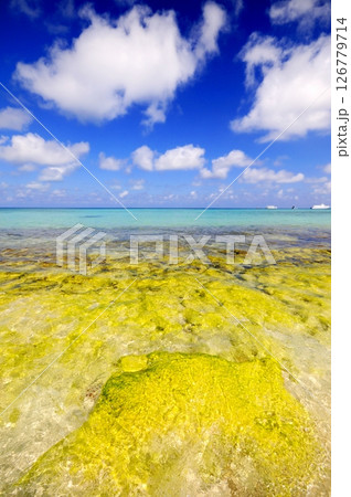 Photos of Maldives Beach 126779714