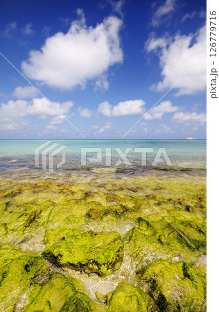 Photos of Maldives Beach 126779716