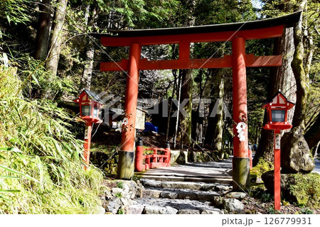 京都市 貴船神社奥宮参道の鳥居と思ひ川橋と新緑 京都市 貴船神社奥宮参道の鳥居と思ひ川橋と新緑 126779931