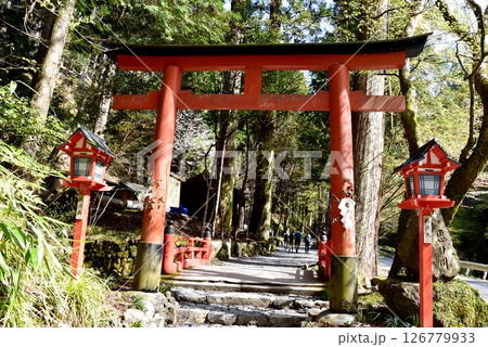 京都市　貴船神社奥宮参道の鳥居と思ひ川橋と新緑 126779933