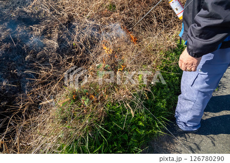 草焼き 126780290