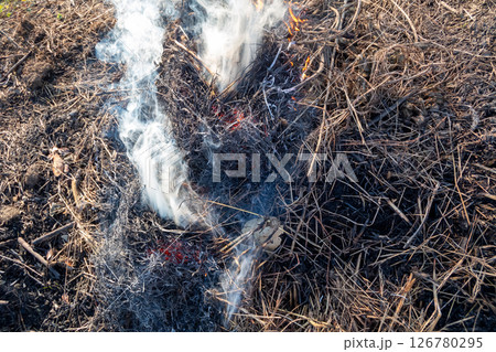 草焼き 草焼き 126780295