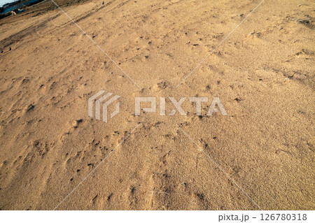 籾殻を撒く 籾殻を撒く 126780318