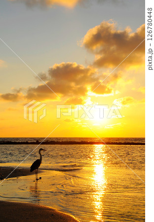 Photos of Maldives Beach 126780448