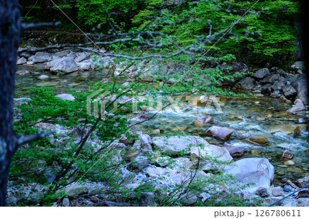 夕暮れの河原 126780611