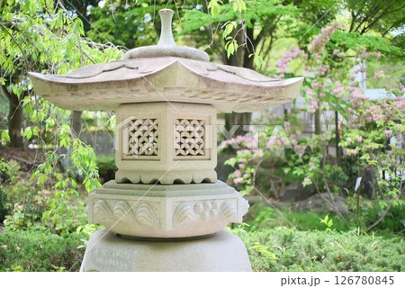 日本庭園の石灯籠と春の花咲く風景 126780845