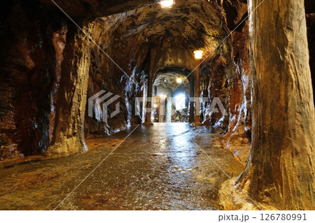 和歌山県白浜町の景勝地 三段壁洞窟の風景 和歌山県白浜町の景勝地 三段壁洞窟の風景 126780991