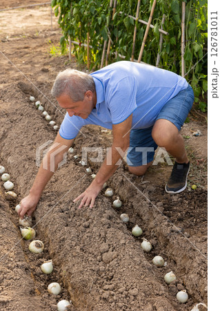 Mature man planting onion in garden 126781011