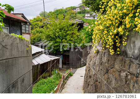 《広島県》尾道・坂の街の風景 126781061