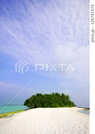 Photos of Maldives Beach Photos of Maldives Beach 126781478