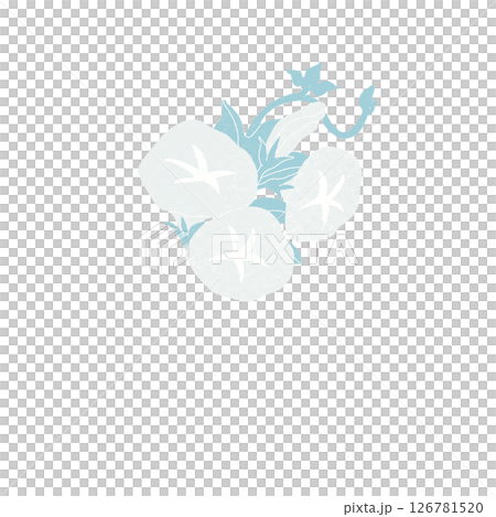白色牽牛花廣場第02部分 白色牽牛花廣場第02部分 126781520