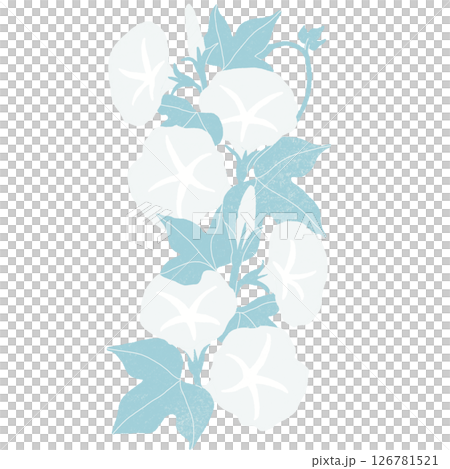 白色牽牛花長篇01 126781521