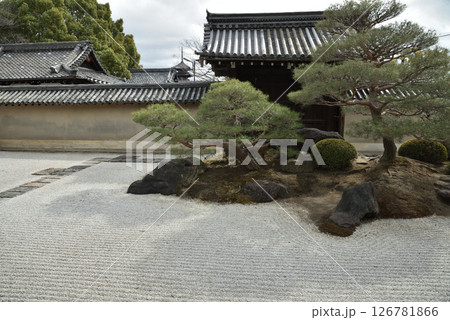 東寺塔頭　観智院庭園　長者の庭(京都市南区) 126781866