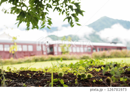 山と廃電車 山と廃電車 126781973