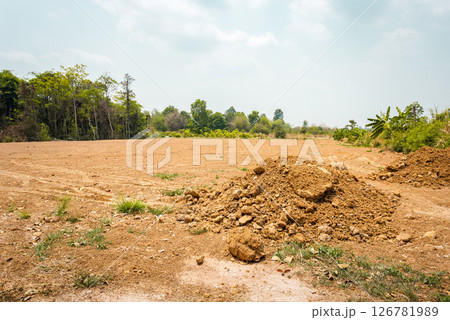 Empty dry cracked swamp reclamation soil, land plot for housing construction project with car tire print in rural area and beautiful blue sky. 126781989