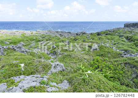 波照間島の南部にある石灰岩の断崖が続く高那崎 126782448