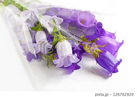 カンパニュラの花束 126782920
