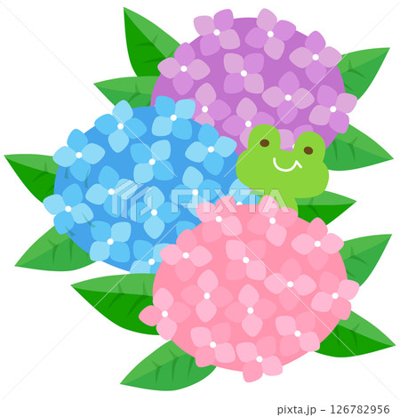 紫陽花と小さなカエル 126782956