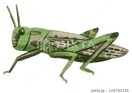バッタのベクターイラスト 126783138