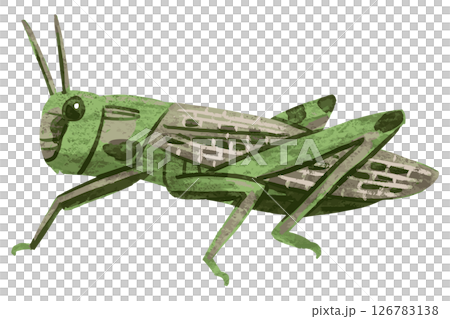 蚱蜢向量圖 126783138