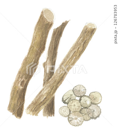 水彩で描いたオオツヅラフジの茎　輪切り　防巳　ボウイ 126783953