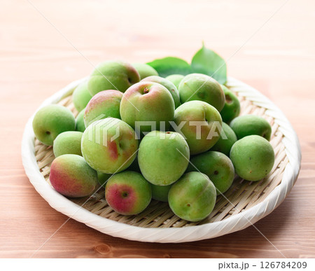 青梅 ( 紀州南高梅 ) 青梅 ( 紀州南高梅 ) 126784209