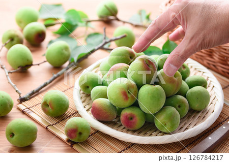 青梅 （ 紀州南高梅 ） 126784217