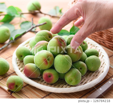 青梅 ( 紀州南高梅 ) 青梅 ( 紀州南高梅 ) 126784218