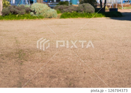 冬の公園に広がる枯芝の風景 冬の公園に広がる枯芝の風景 126784373