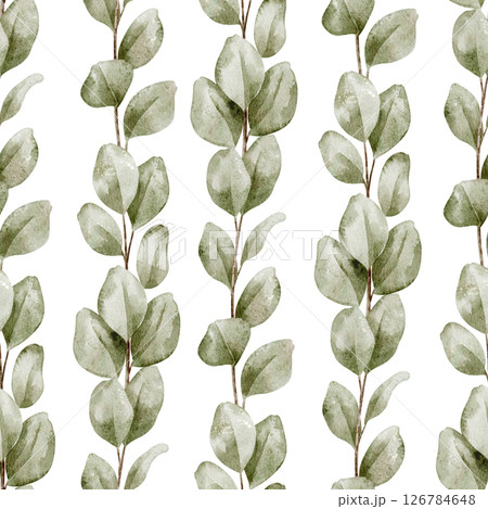 Seamless watercolor Pattern with Eucalyptus branches and soft green leaves. Illustration of botanical Background for textiles, nature designs and wallpapers. Backdrop for bed linen or wrapping paper. 126784648