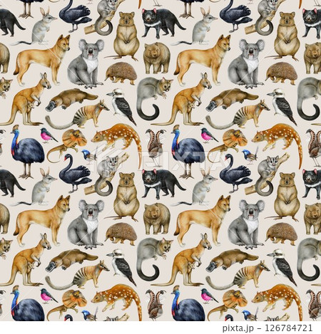 Australian fauna seamless pattern design element. Hand drawn koala, kangaroo, dingo, wombat, sugar glider, platypus, kookaburra on pastel color background. Australia birds and animals pattern 126784721