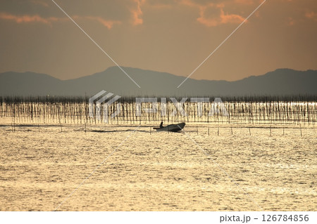 大牟田市 有明海 海苔畑、 大牟田市 有明海 海苔畑、 126784856