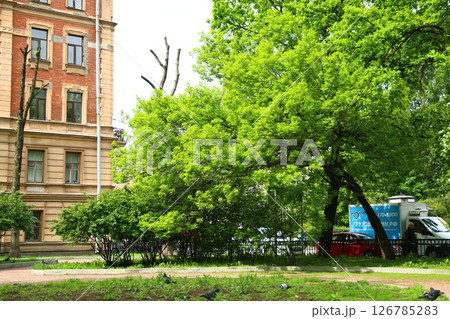 A Beautiful and Lush Green Park Scene Set Against an Urban Backdrop in a Vibrant City 126785283